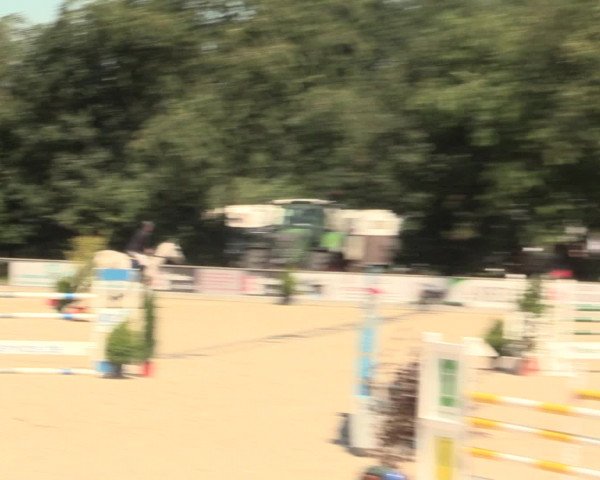 Euregioturnier Wietmarschen 2016