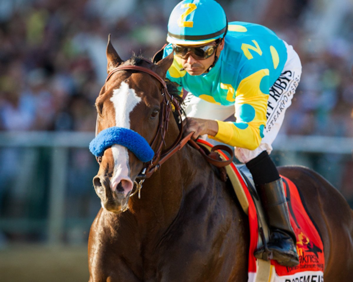 stallion Bodemeister xx (Thoroughbred, 2009, from Empire Maker xx)