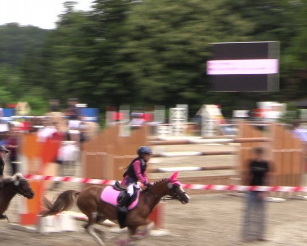 Kemperhöher Reitertage 2016