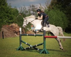 Zuchtstute Charme of Angel (Deutsches Reitpony, 2006, von Charm of Nibelungen)