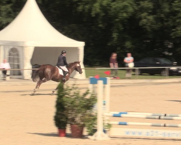 Euregioturnier Wietmarschen 2016