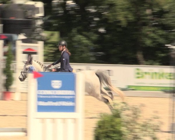 Euregioturnier Wietmarschen 2016