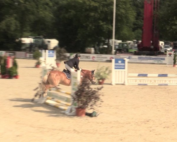 Euregioturnier Wietmarschen 2016