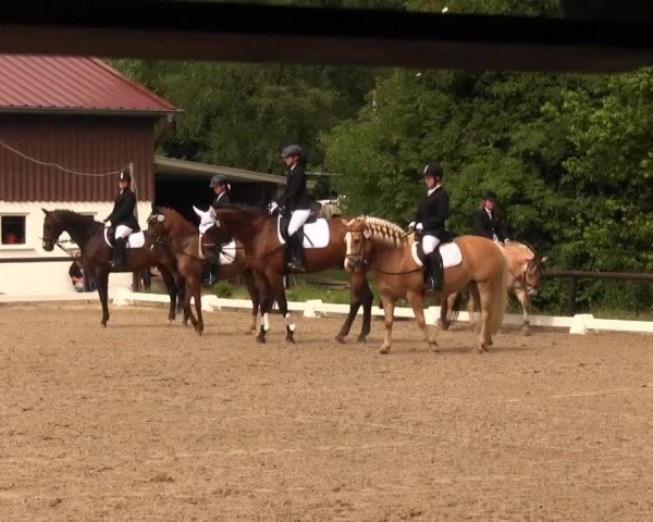 Kemperhöher Reitertage 2016