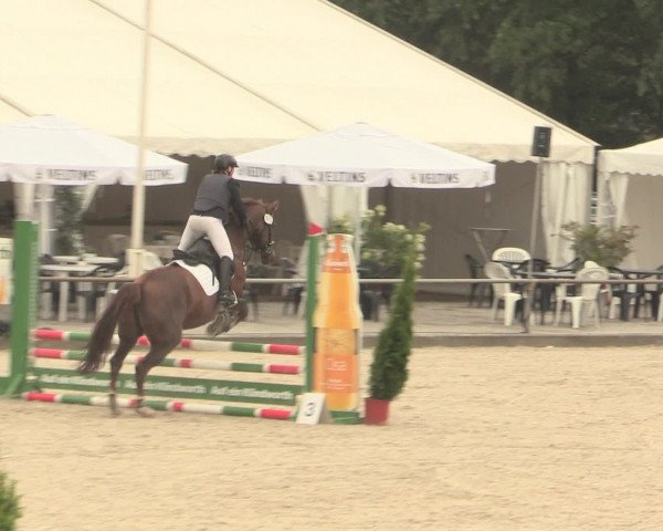 Euregioturnier Wietmarschen 2016