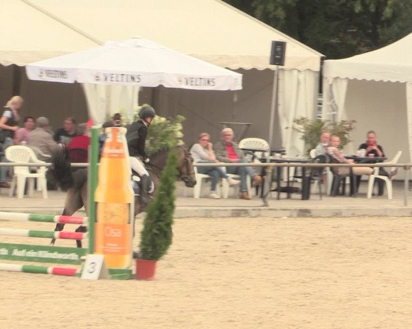 Euregioturnier Wietmarschen 2016