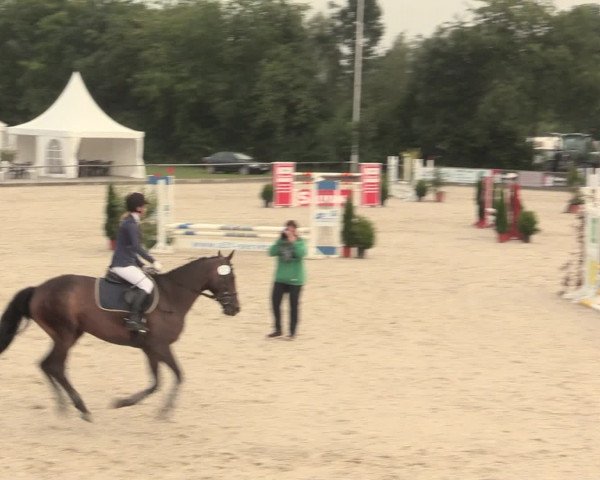 Euregioturnier Wietmarschen 2016