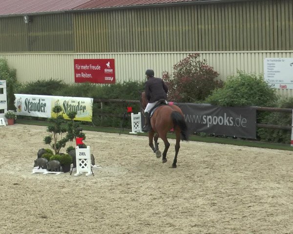 Reitturnier Kirchhellen/Stall Dieckmann 2016