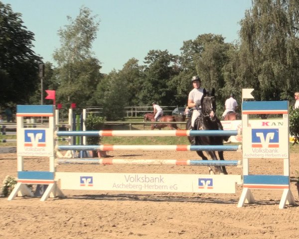 Großes Reit- und Springturnier Herbern 2016
