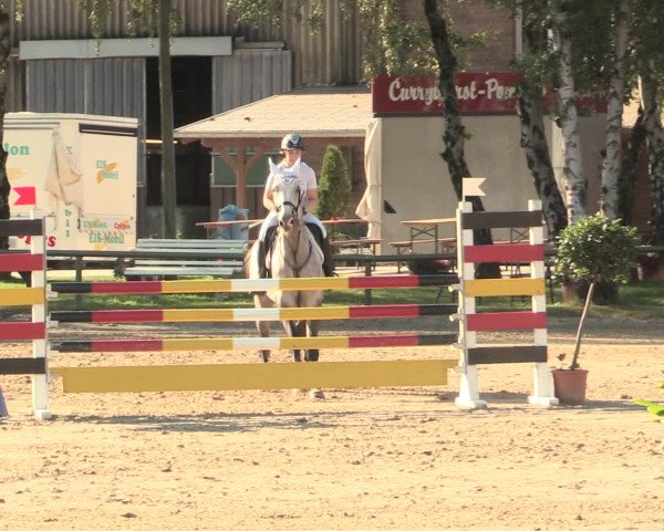 Großes Reit- und Springturnier Herbern 2016