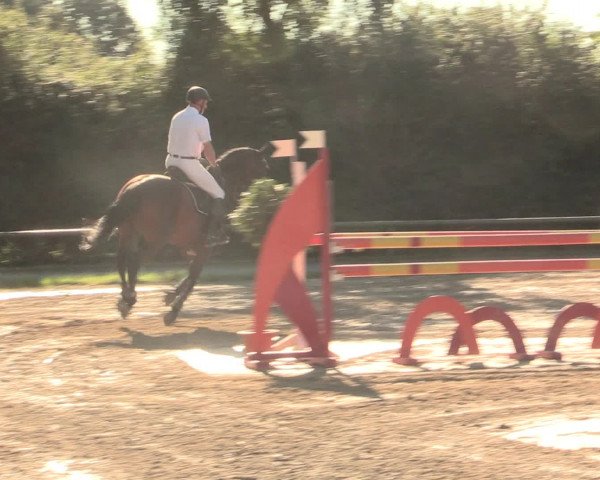 Großes Reit- und Springturnier Herbern 2016