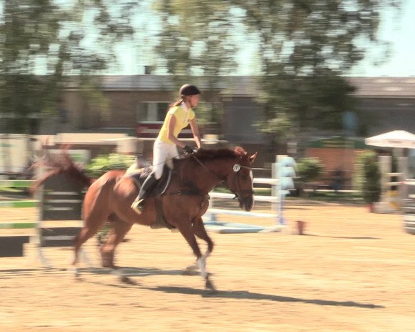 Großes Reit- und Springturnier Herbern 2016