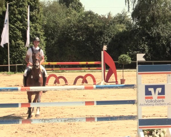 Großes Reit- und Springturnier Herbern 2016