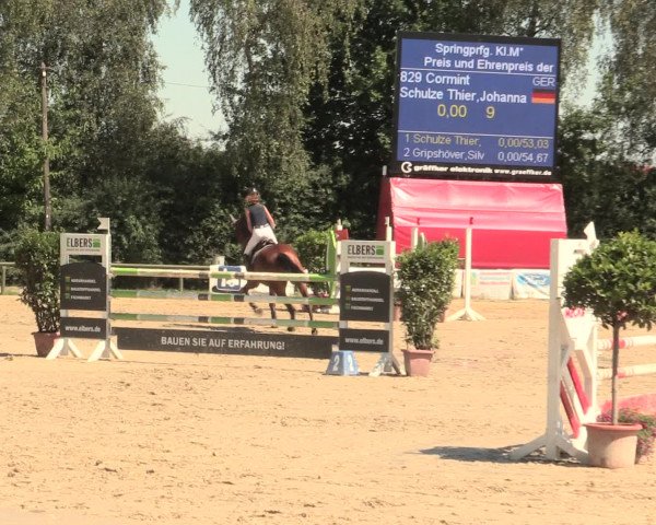 Großes Reit- und Springturnier Herbern 2016