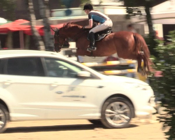 Großes Reit- und Springturnier Herbern 2016