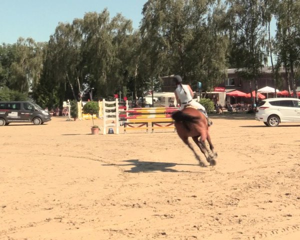 Großes Reit- und Springturnier Herbern 2016