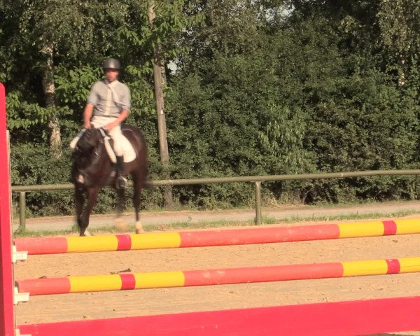 Großes Reit- und Springturnier Herbern 2016