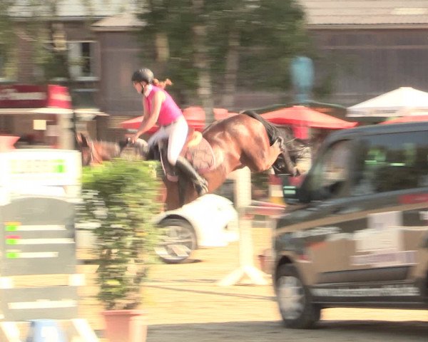 Großes Reit- und Springturnier Herbern 2016