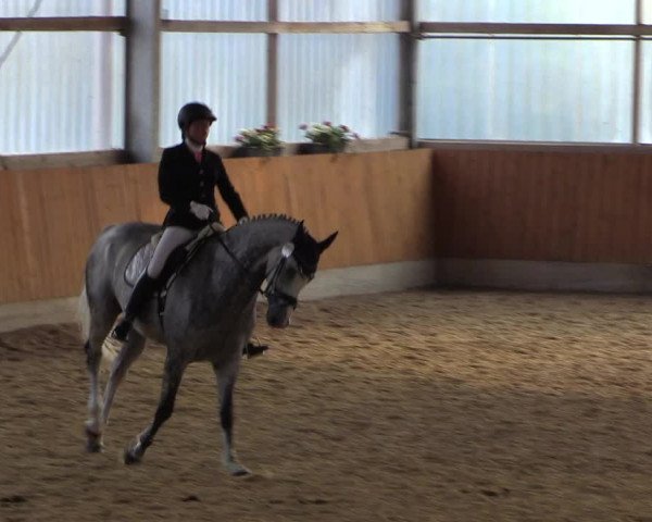 Großes Reit- und Springturnier Herbern 2016