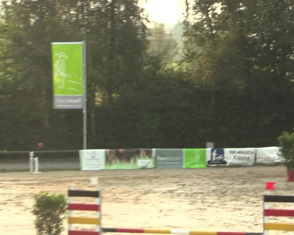 Großes Reit- und Springturnier Herbern 2016