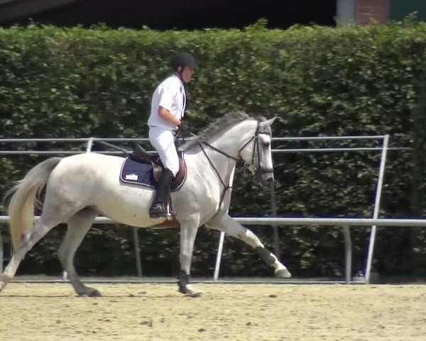 Sommerturnier Neuss-Allerheiligen 2016