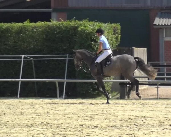 Sommerturnier Neuss-Allerheiligen 2016