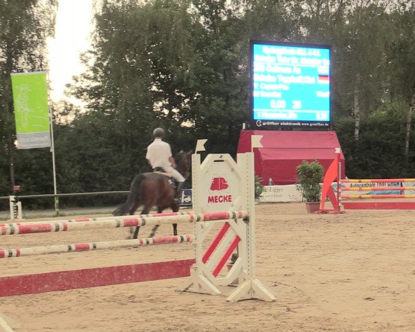 Großes Reit- und Springturnier Herbern 2016