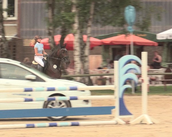 Großes Reit- und Springturnier Herbern 2016