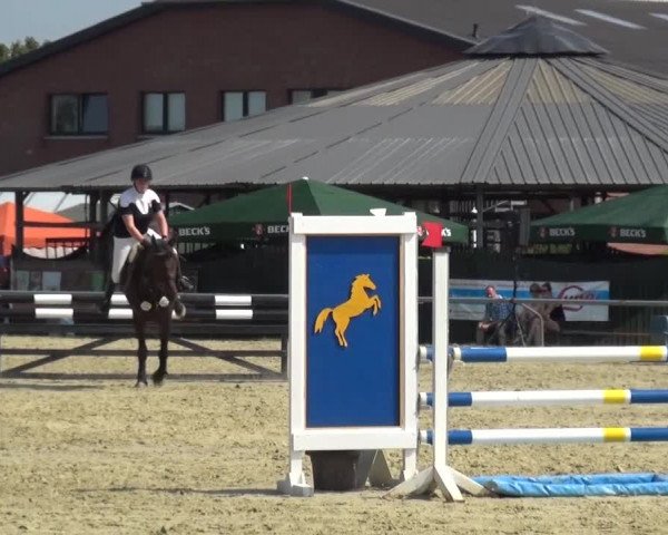 Sommerturnier Neuss-Allerheiligen 2016