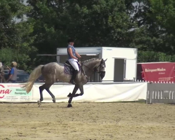Sommerturnier Neuss-Allerheiligen 2016