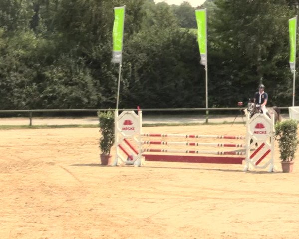 Großes Reit- und Springturnier Herbern 2016