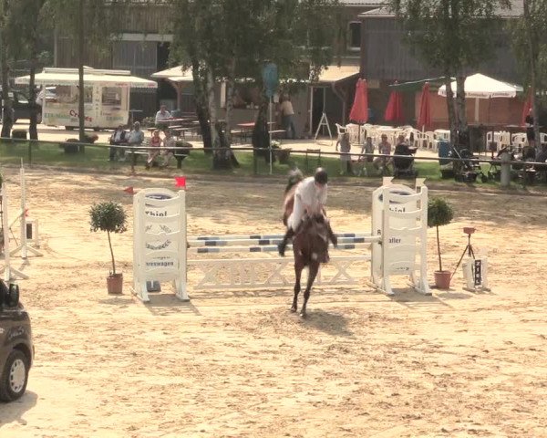 Großes Reit- und Springturnier Herbern 2016