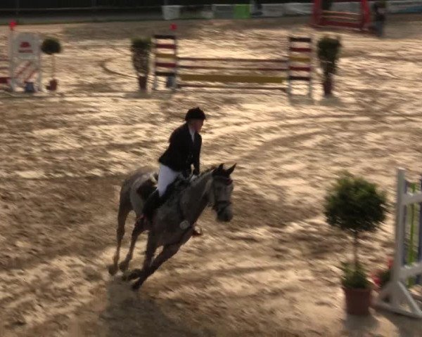 Großes Reit- und Springturnier Herbern 2016