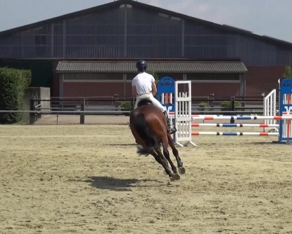Sommerturnier Neuss-Allerheiligen 2016