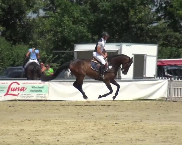 Sommerturnier Neuss-Allerheiligen 2016