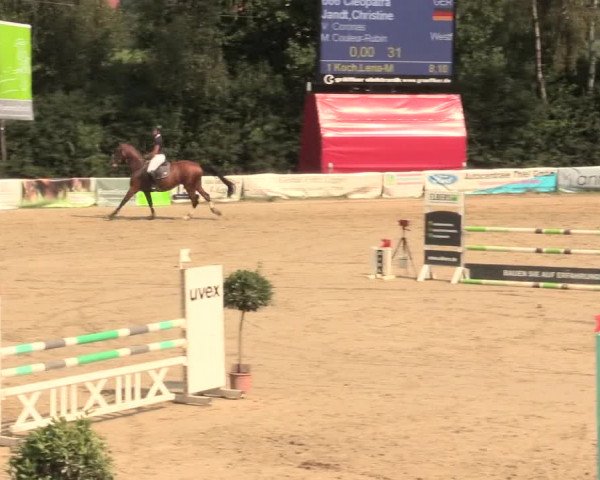 Großes Reit- und Springturnier Herbern 2016