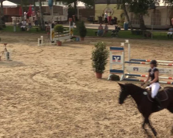 Großes Reit- und Springturnier Herbern 2016