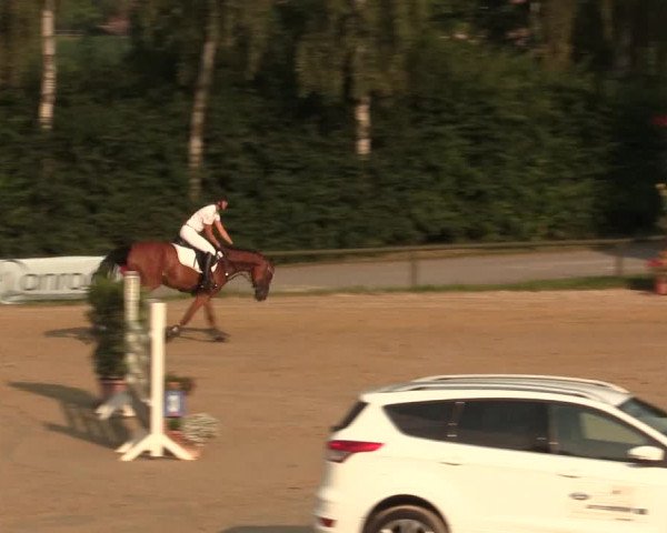 Großes Reit- und Springturnier Herbern 2016