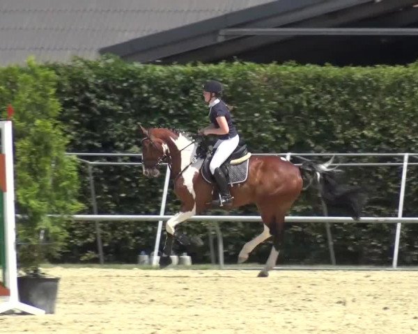 Sommerturnier Neuss-Allerheiligen 2016