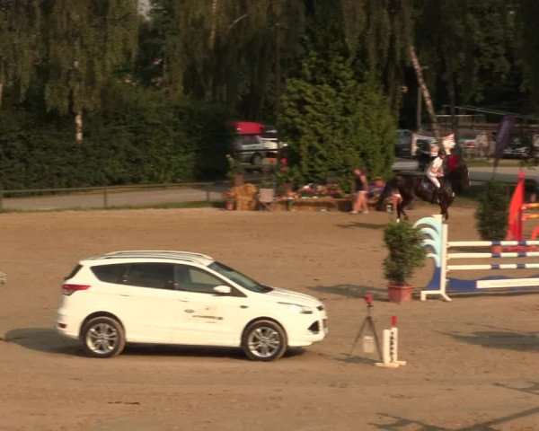 Großes Reit- und Springturnier Herbern 2016