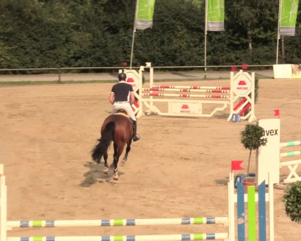 Großes Reit- und Springturnier Herbern 2016