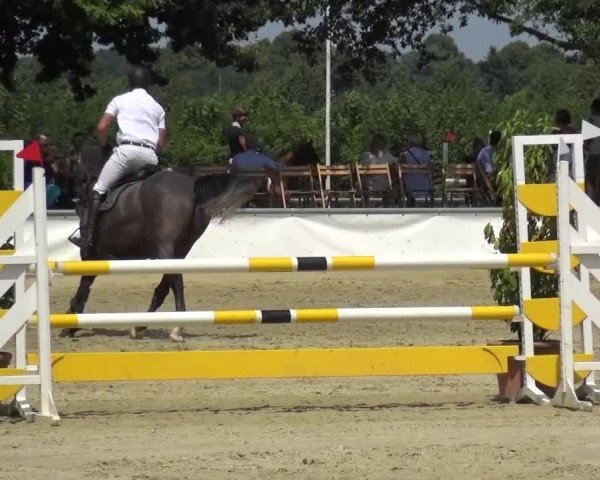 Sommerturnier Neuss-Allerheiligen 2016