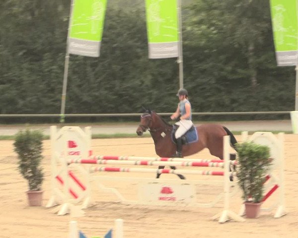 Großes Reit- und Springturnier Herbern 2016