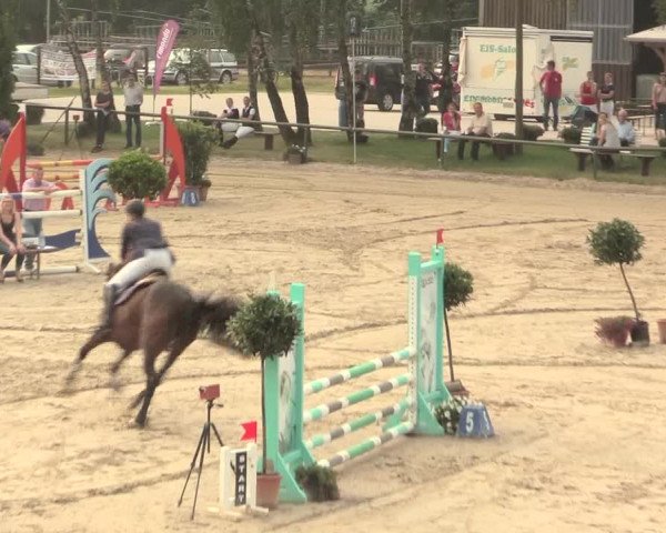Großes Reit- und Springturnier Herbern 2016