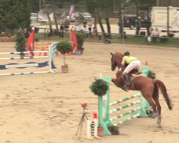 Großes Reit- und Springturnier Herbern 2016