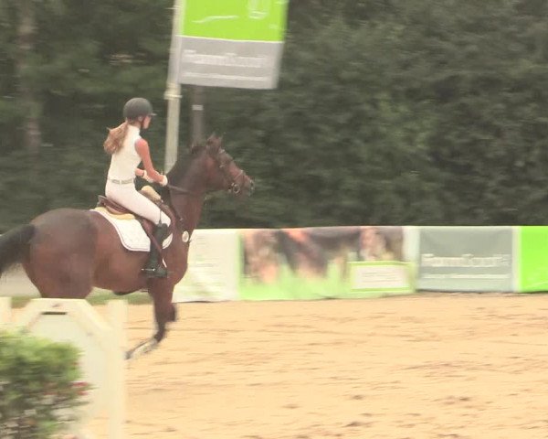Großes Reit- und Springturnier Herbern 2016