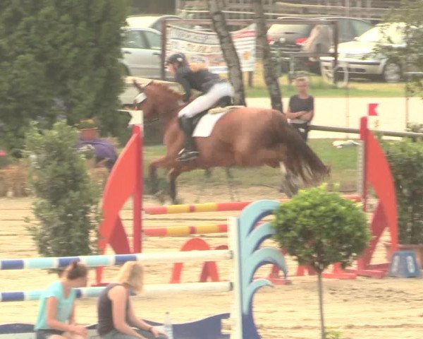 Großes Reit- und Springturnier Herbern 2016