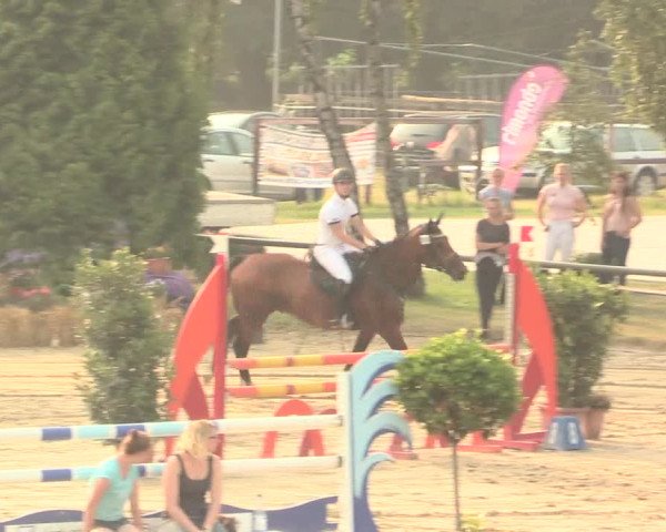 Großes Reit- und Springturnier Herbern 2016