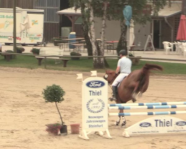 Großes Reit- und Springturnier Herbern 2016