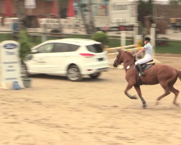 Großes Reit- und Springturnier Herbern 2016